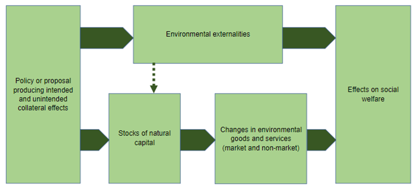 Figure 1-2: The Natural Capital Framework, as part of environmental appraisal, as described in the text above