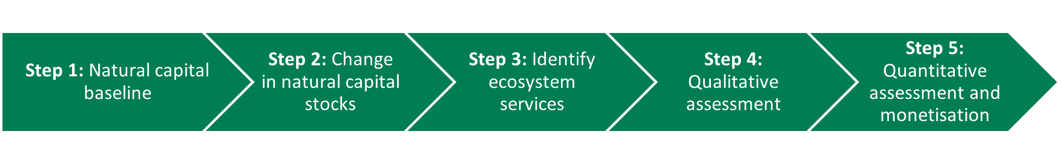 Figure 1-3: NCA steps and report structure, as described in the text above